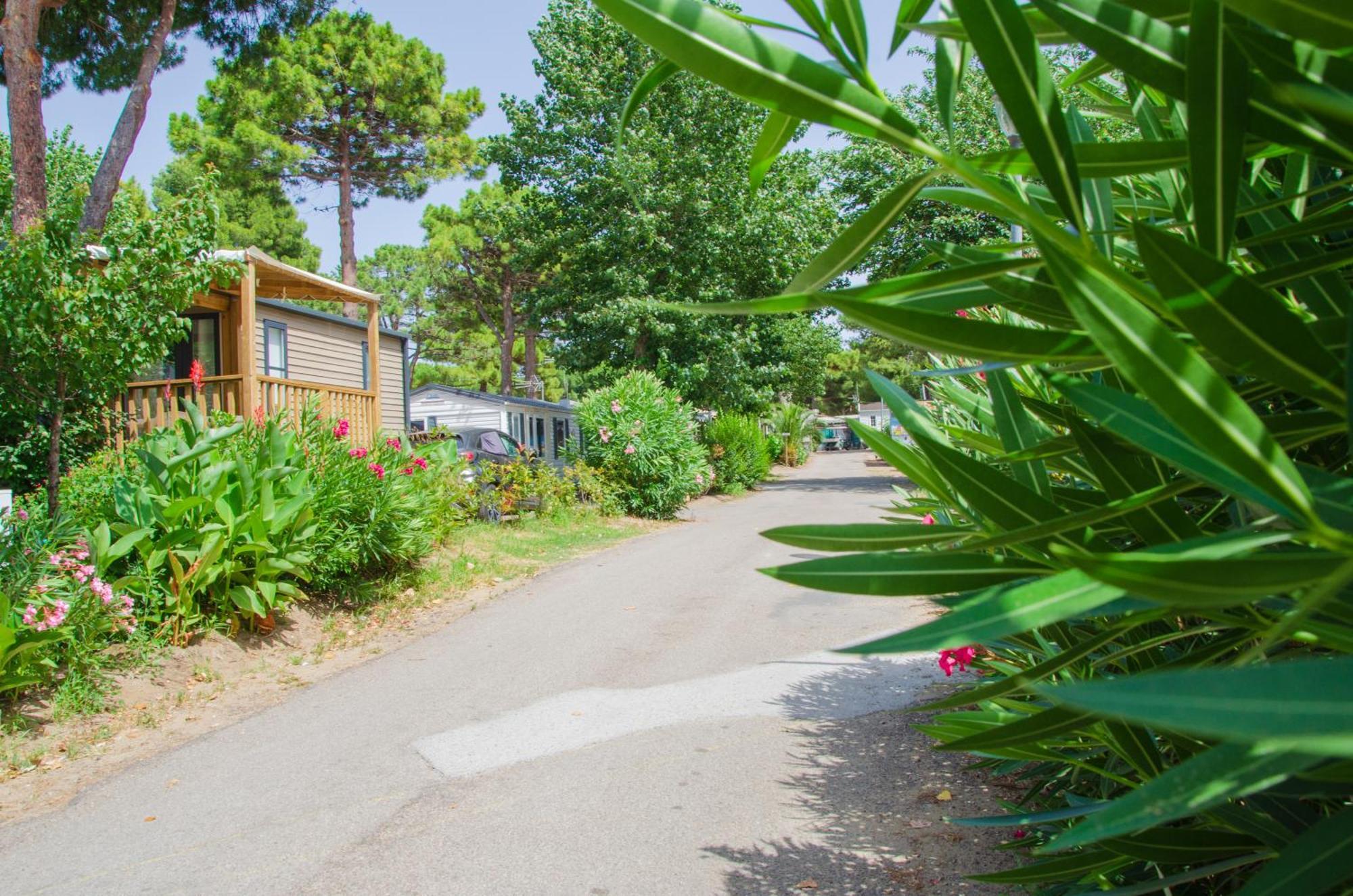 Camping Les Jardins D Agathe Le Grau-dʼAgde エクステリア 写真