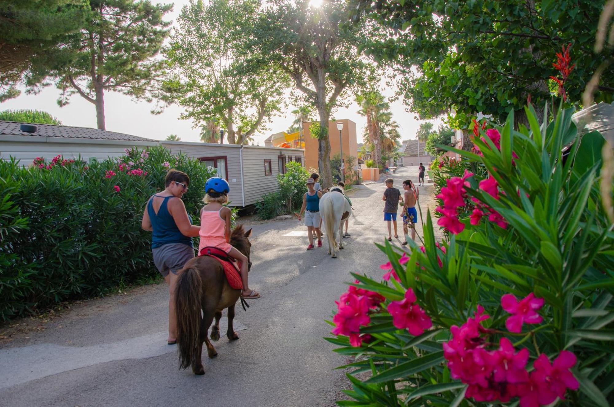 Camping Les Jardins D Agathe Le Grau-dʼAgde エクステリア 写真